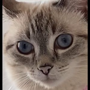 I’m open to any offer